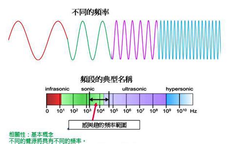 水位與聲音頻率的關係